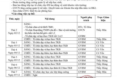 KẾ HOẠCH HOẠT ĐỘNG TUẦN 13