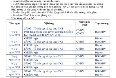KẾ HOẠCH HOẠT ĐỘNG TUẦN 12