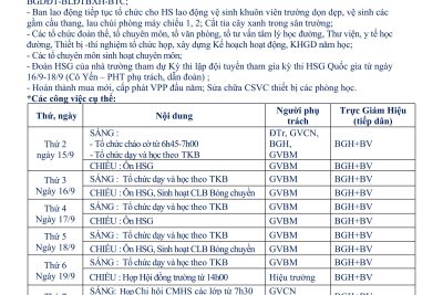 KẾ HOẠCH HOẠT ĐỘNG TUẦN 2