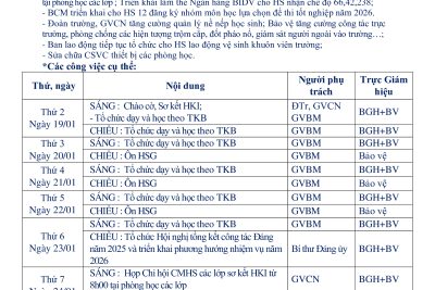 KẾ HOẠCH HOẠT ĐỘNG TUẦN 20